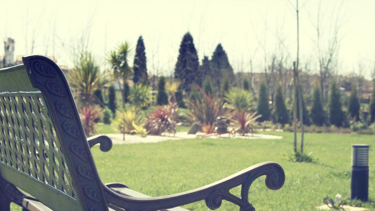 Casa Da Alzira Konuk evi Anadia Dış mekan fotoğraf